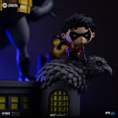 Iron Studios DC Comics Batman Family Animated Icons