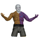 McFarlane Toys Superman (2025) Metamorpho 7" Figure