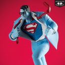 McFarlane Toys DC Comics Superman Red & Blue by Clayton Henry Resin Statue