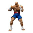 Jada Toys Street Fighter II 6" Sagat Figure