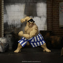 Jada Toys Street Fighter E. Honda 6" Deluxe Action Figure