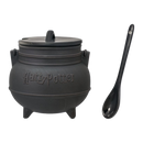 Ikon Collectables Harry Potter Cauldron with Lid & Spoon Soup Mug
