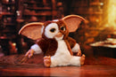 Ikon Design Studio Gremlins Replica Mogwai box and Gizmo plush