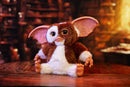 Ikon Design Studio Gremlins Replica Mogwai box and Gizmo plush
