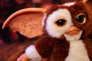 Ikon Design Studio Gremlins Replica Mogwai box and Gizmo plush
