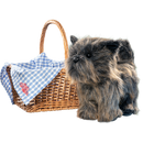 Ikon Design Studio The Wizard of Oz Toto & Basket Replica Set