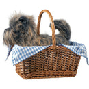 Ikon Design Studio The Wizard of Oz Toto & Basket Replica Set