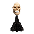 Weta The Lord of the Rings Skull of Lurtz Miniature Skull