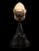 Weta The Lord of the Rings Skull of Lurtz Miniature Skull