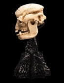 Weta The Lord of the Rings Skull of a Cave Troll Miniature Skull