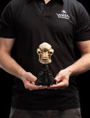 Weta The Lord of the Rings Skull of a Cave Troll Miniature Skull