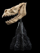 Weta The Lord of the Rings Skull of a Fell Beast Miniature Skull