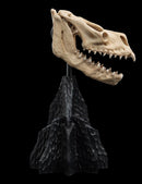 Weta The Lord of the Rings Skull of a Fell Beast Miniature Skull
