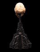 Weta The Lord of the Rings Skull of a Moria Orc Miniature Skull
