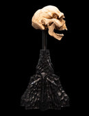 Weta The Lord of the Rings Skull of a Moria Orc Miniature Skull