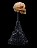 Weta The Lord of the Rings Skull of Gollum Miniature Skull