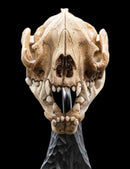 Weta The Lord of the Rings Skull of a Warg Miniature