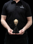 Weta The Lord of the Rings Skull of a Warg Miniature