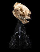 Weta The Lord of the Rings Skull of a Warg Miniature