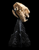 Weta The Lord of the Rings Skull of a Warg Miniature
