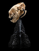 Weta The Lord of the Rings Skull of a Warg Miniature