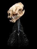 Weta The Lord of the Rings Skull of a Warg Miniature