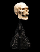 Weta The Lord of the Rings Skull of a Mordor Orc Miniature