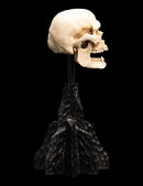 Weta The Lord of the Rings Skull of a Mordor Orc Miniature