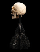 Weta The Lord of the Rings Skull of a Mordor Orc Miniature