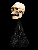 Weta The Lord of the Rings Skull of a Mordor Orc Miniature