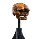 Weta The Hobbit Skull of a Misty Mountain Goblin Miniature