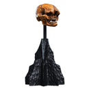 Weta The Hobbit Skull of a Misty Mountain Goblin Miniature