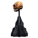 Weta The Hobbit Skull of a Misty Mountain Goblin Miniature
