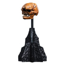 Weta The Hobbit Skull of a Misty Mountain Goblin Miniature