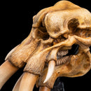 Weta The Lord of the Rings Skull of A Mumak SDCC 2025 Miniature Statue