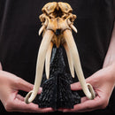 Weta The Lord of the Rings Skull of A Mumak SDCC 2025 Miniature Statue