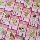 Origame: Master Sinseh Board Game