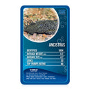 Winning Moves Top Trumps: Freshwater Fish Board Game