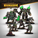 Warmachine: 2 Player Starter: Frozen & Forgotten Nyss vs Deathless HIPS