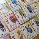 Dog Park: Dogs of the World Expansion Board Game