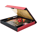 Dragon Shield RPG: Player Companion Blood Red