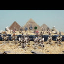 Wargames Atlantic Skeleton Cavalry and Chariots