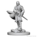 D&D Nolzurs Marvelous Unpainted Miniatures Vampires Dungeons & Dragons