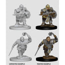 D&D Nolzurs Marvelous Unpainted Miniatures Dwarf Female Fighter Dungeons & Dragons