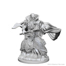 D&D Nolzurs Marvelous Unpainted Miniatures Human Male Wizard Dungeons & Dragons