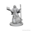 D&D Nolzurs Marvelous Unpainted Miniatures Human Female Wizard Dungeons & Dragons