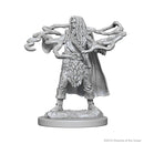 D&D Nolzurs Marvelous Unpainted Miniatures Human Male Sorcerer Dungeons & Dragons