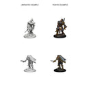 D&D Nolzurs Marvelous Unpainted Miniatures Human Male Paladin Dungeons & Dragons