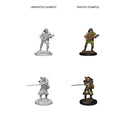 D&D Nolzurs Marvelous Unpainted Miniatures Human Male Bard Dungeons & Dragons