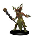 D&D Icons of the Realms Guildmasters Guide to Ravnica Companion Starter One Dungeons & Dragons